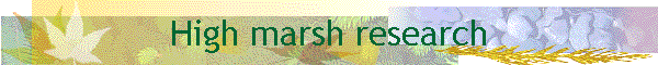High marsh research