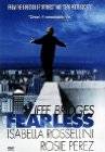 Fearless (1993) DVD cover