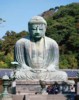 photo of Buddha statue in Nara, Japan