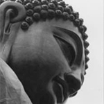 image of the head of Buddha statue