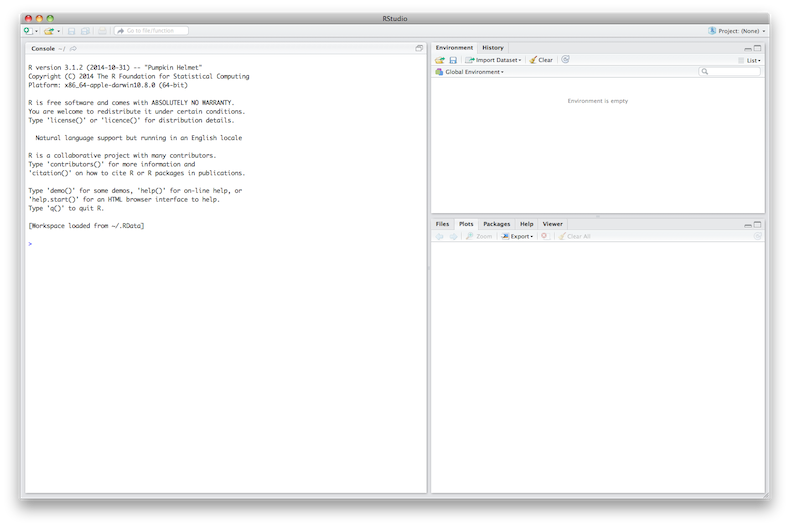 R Studio Window