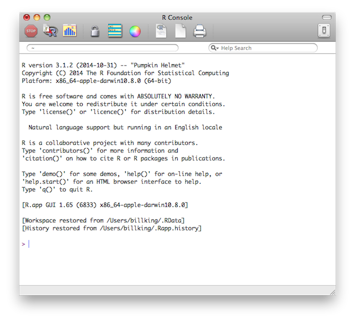 R Console