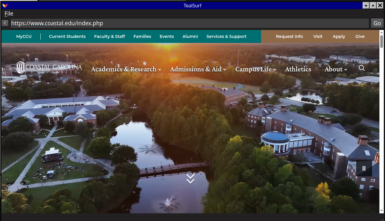 A basic browser with few features